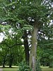 207_0797.JPG