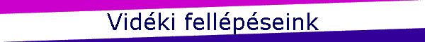 Vidki fellpseink
