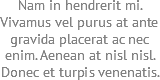 Nam in hendrerit mi. Vivamus vel purus at ante gravida placerat ac nec enim. Aenean at nisl nisl. Donec et turpis venenatis.