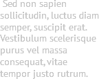  Sed non sapien sollicitudin, luctus diam semper, suscipit erat. Vestibulum scelerisque purus vel massa consequat, vitae tempor justo rutrum. 