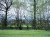 2013-04-28_374_t1.jpg