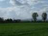2013-04-28_452_t1.jpg