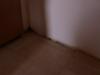 dsc00170_t1.jpg