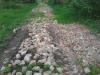 2014-05-03_165109-k_t1.jpg