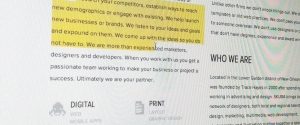 Css-text-selection