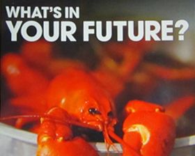 Graphic design new orleans critters postcard printed local marketing campaign