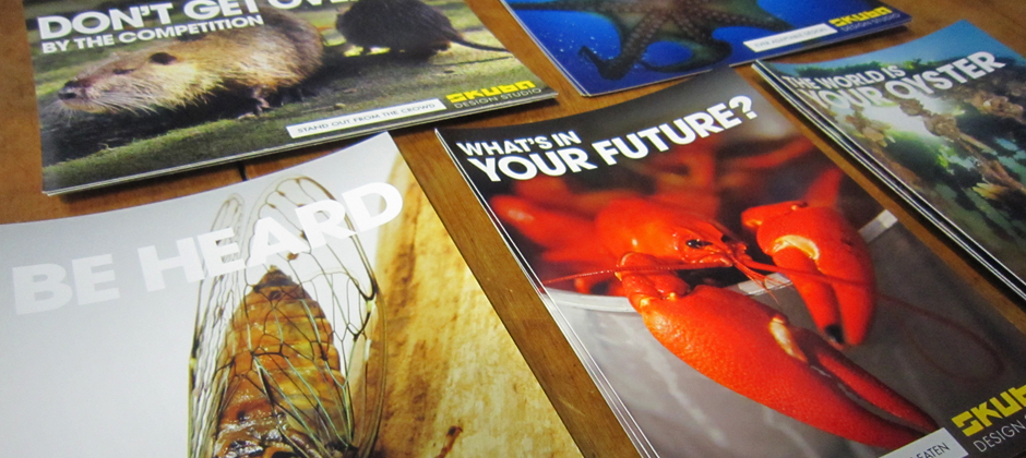 Hyper-local postcards marketing campaign featuring new orleans critters skuba design print marketing new orleans