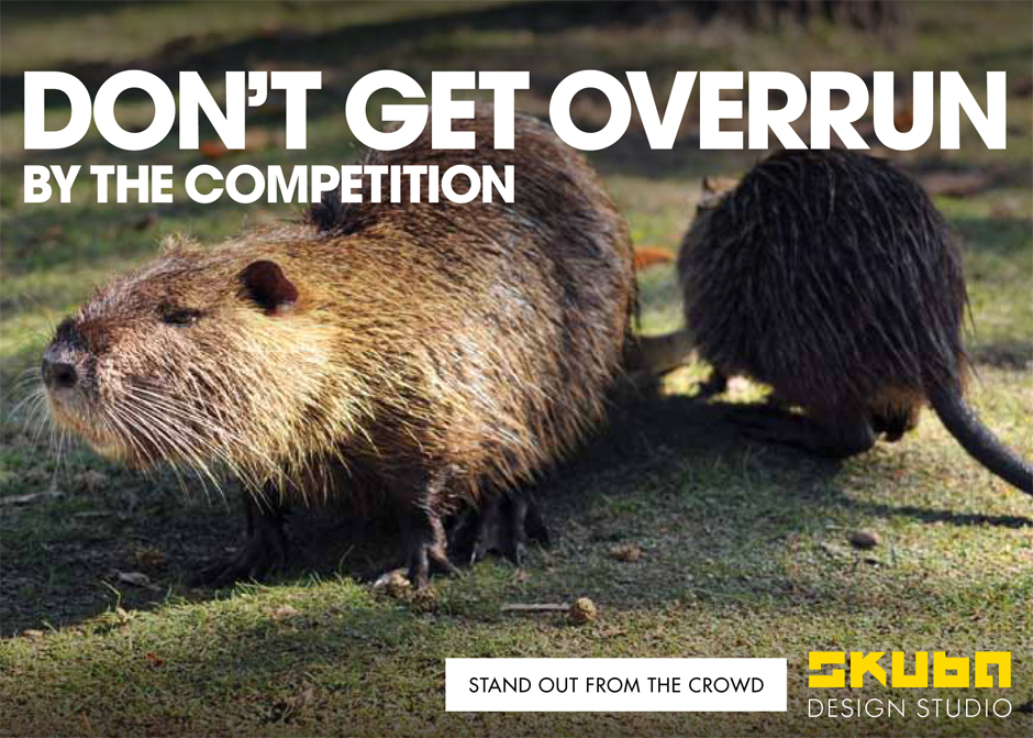 Nutria postcard small business graphic design new orleans marketing campaign