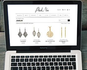 Pied-nu-logo-web-store-mobile-design-responsive-website-2