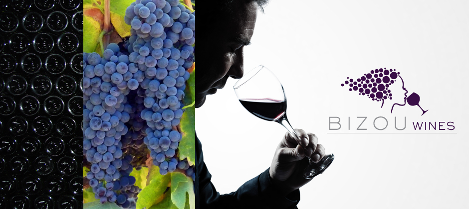 Bizou-wines-wine-bottle-grapes-man-tasting-logo