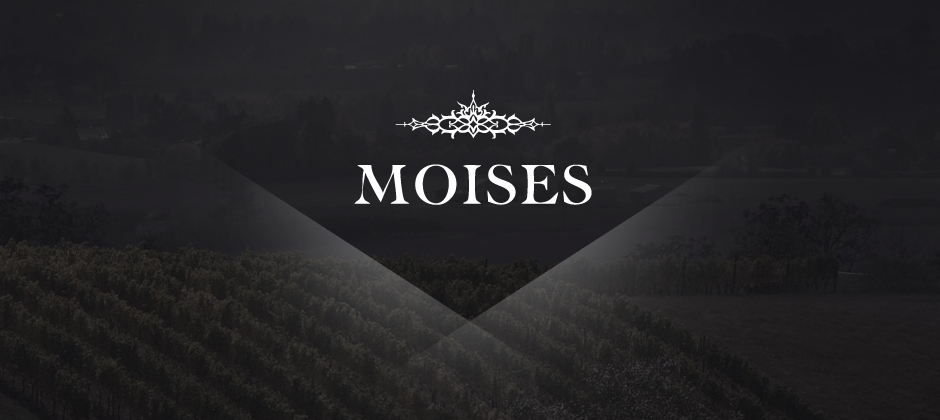 Moises-wines-branding-logo-vineyard