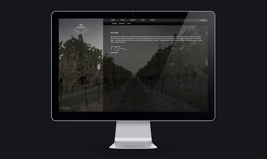 Moises-wines-website-welcome-vineyard