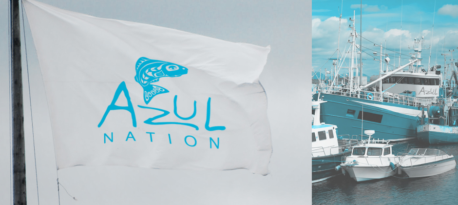Azul-nation-logo-on-flag-boats-in-ship-yard