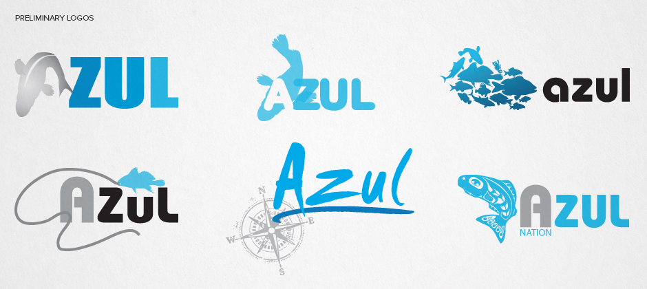 Azul-nation-preliminary-logos