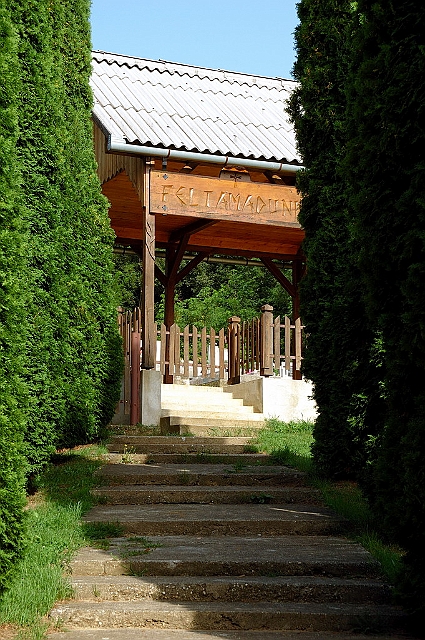 hetvehely_temeto_001.jpg