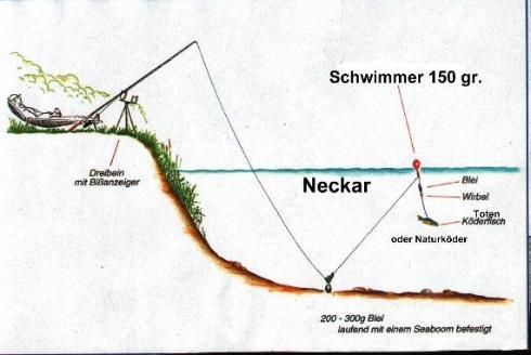 schwimmermont1.jpg