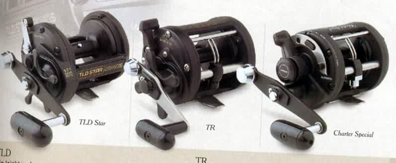 tld csald.jpg