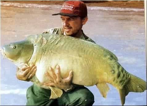 34.jpg