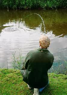 flycarp.jpg