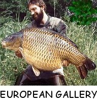 nagyponty.jpg