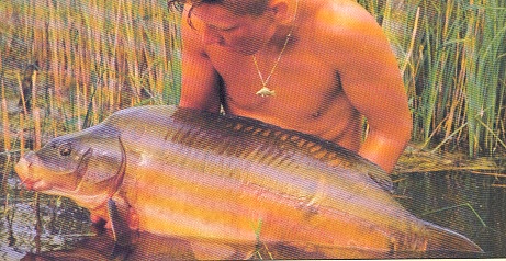 ponty35 uj.jpg