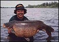 ponty5.jpg