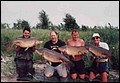 pontyok.jpg