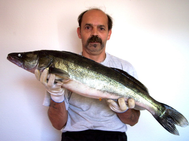 sll 2.jpg