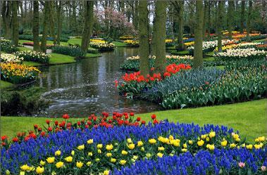 hollandia