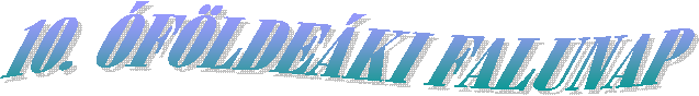 10. FLDEKI FALUNAP
