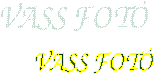 VASS FOT