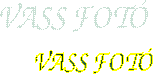 VASS FOT