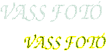 VASS FOT