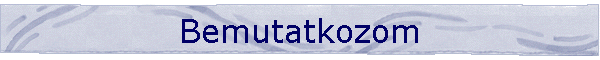 Bemutatkozom