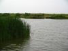 IMG 5598