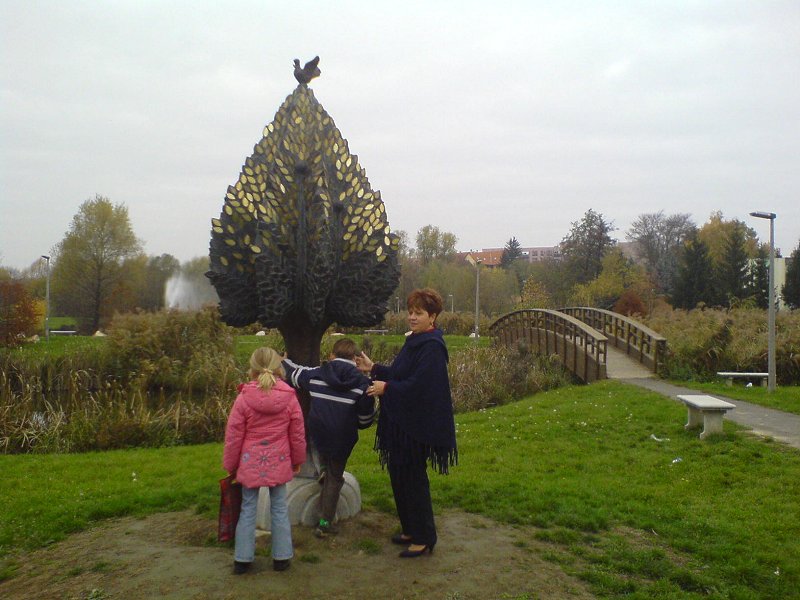 Dsc00226