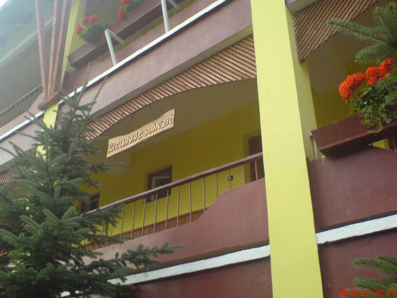 DSC00299