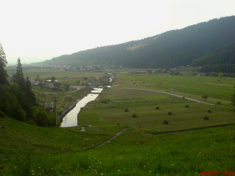 Dsc00326