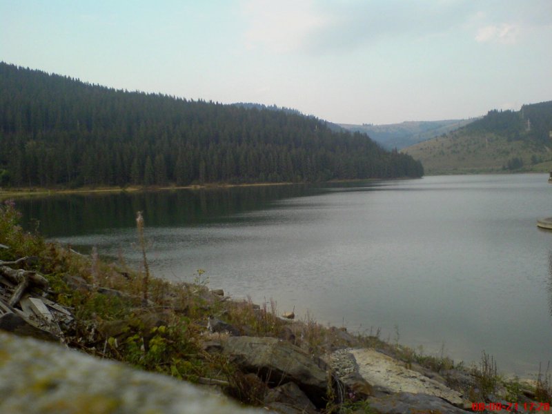 Dsc00325
