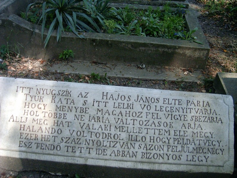 HPIM5195