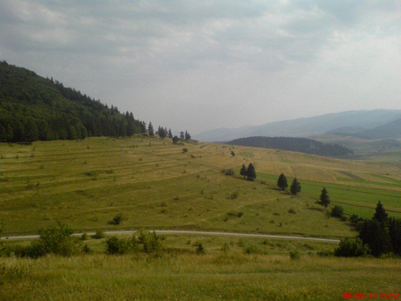 Dsc00304