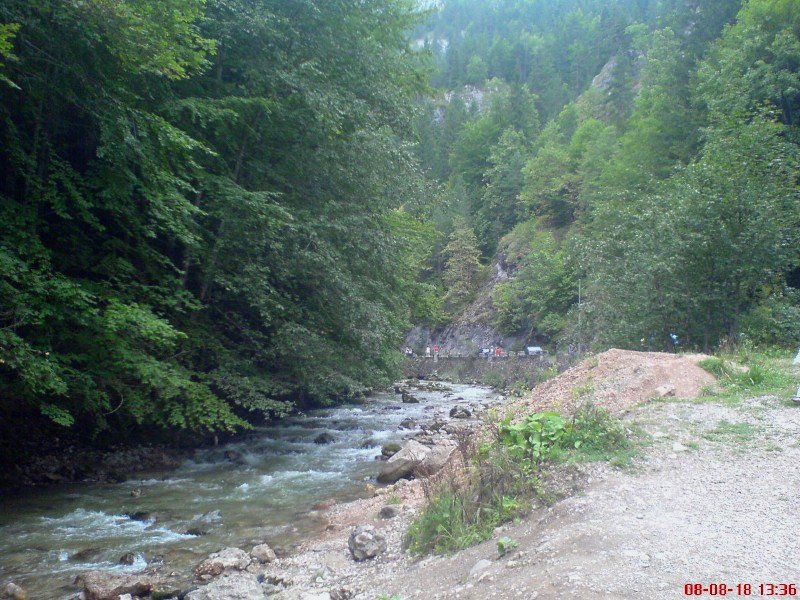 Dsc00307