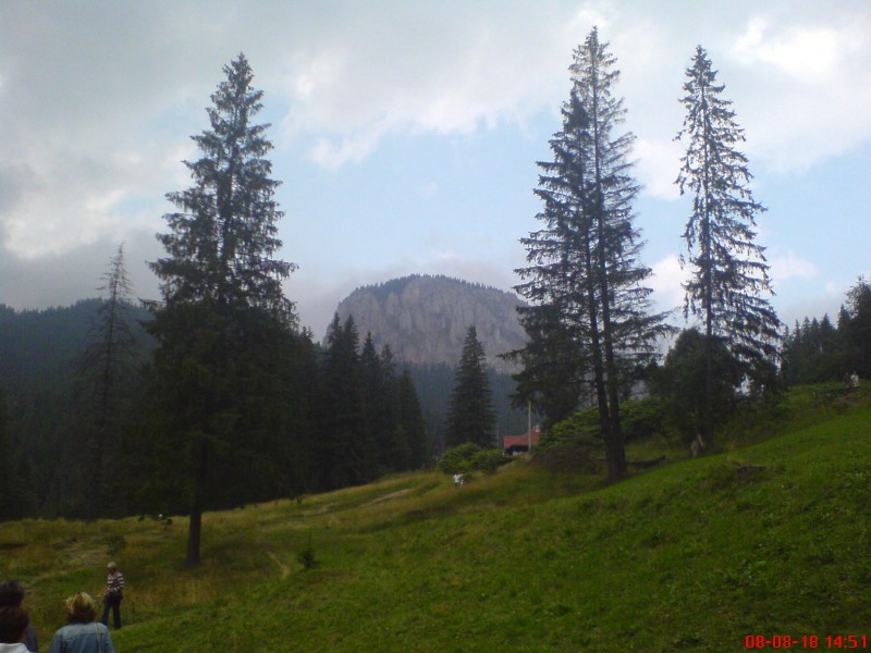 DSC00311