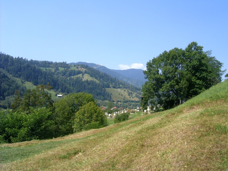 HPIM5347