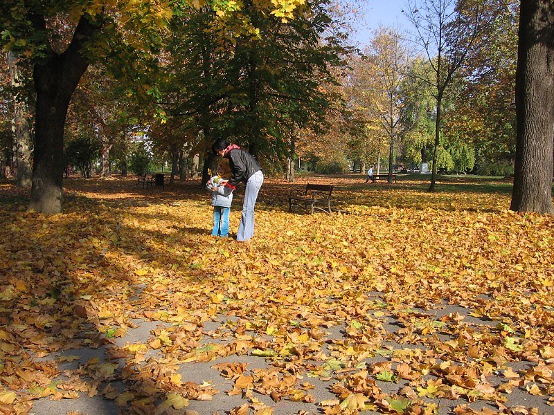 kap431
