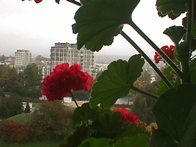 20021012_17