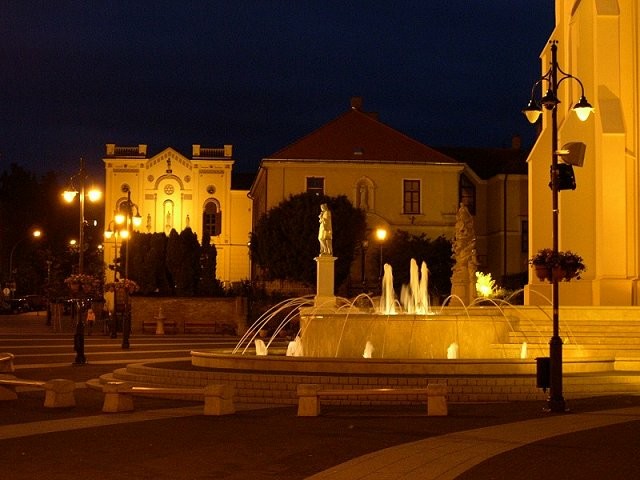dscn5497