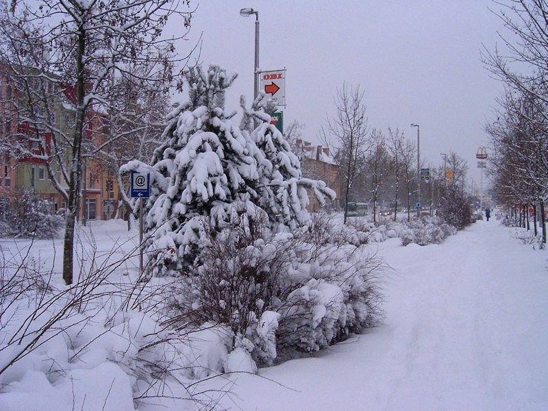 HPIM4681