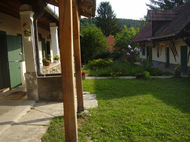 P5312002