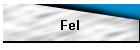 Fel